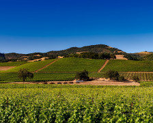 20 Best Hotels in California Wine Country