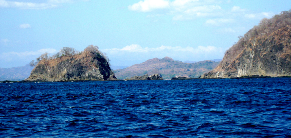 Photo of Tamarindo