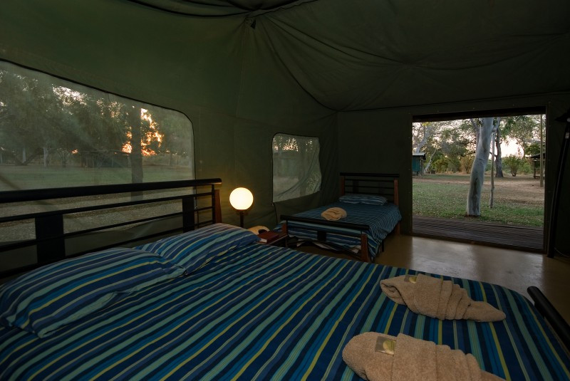fitzroy river lodge safari tents
