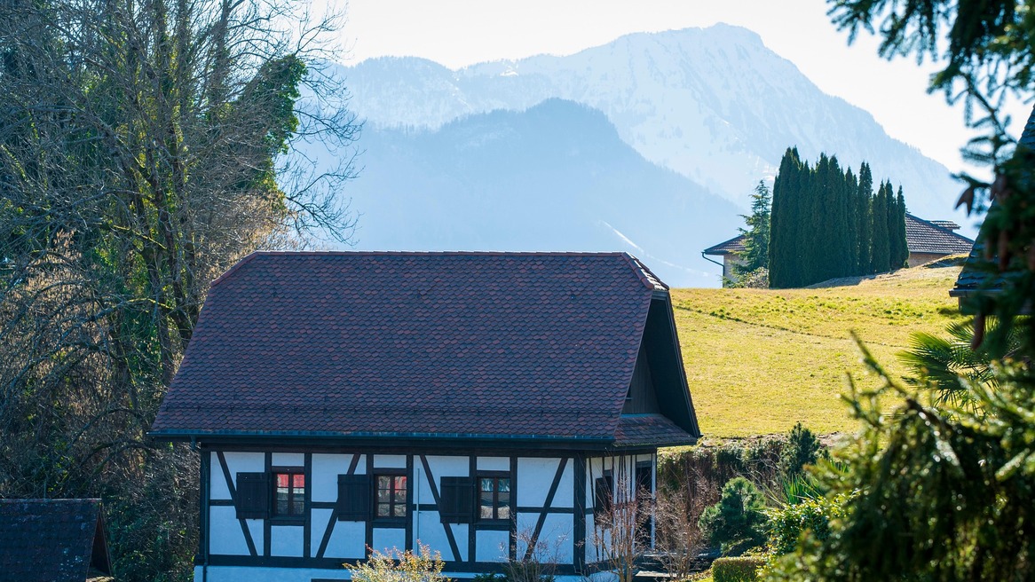 Tribschen &amp; Suburbios