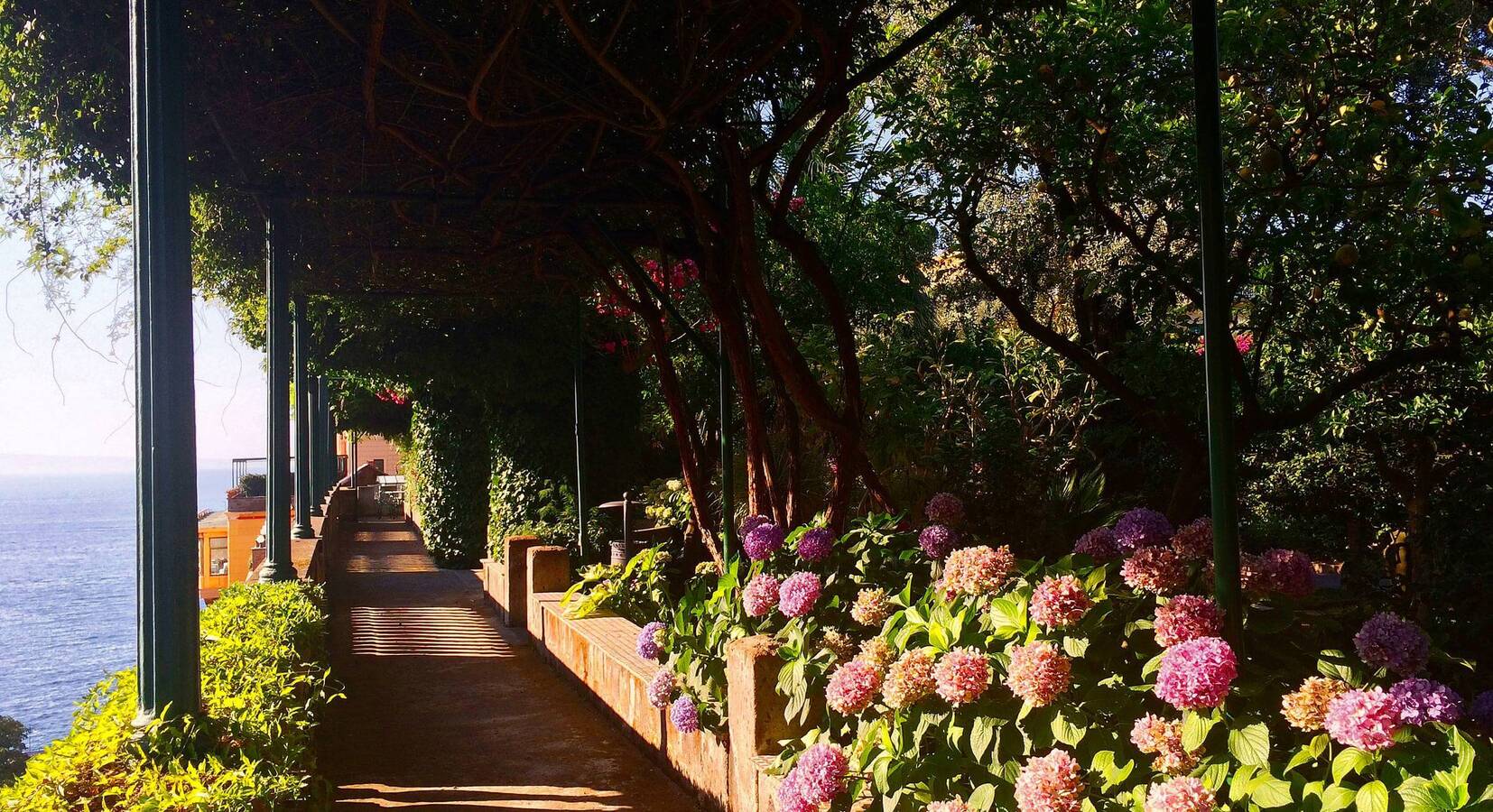 The Grounds