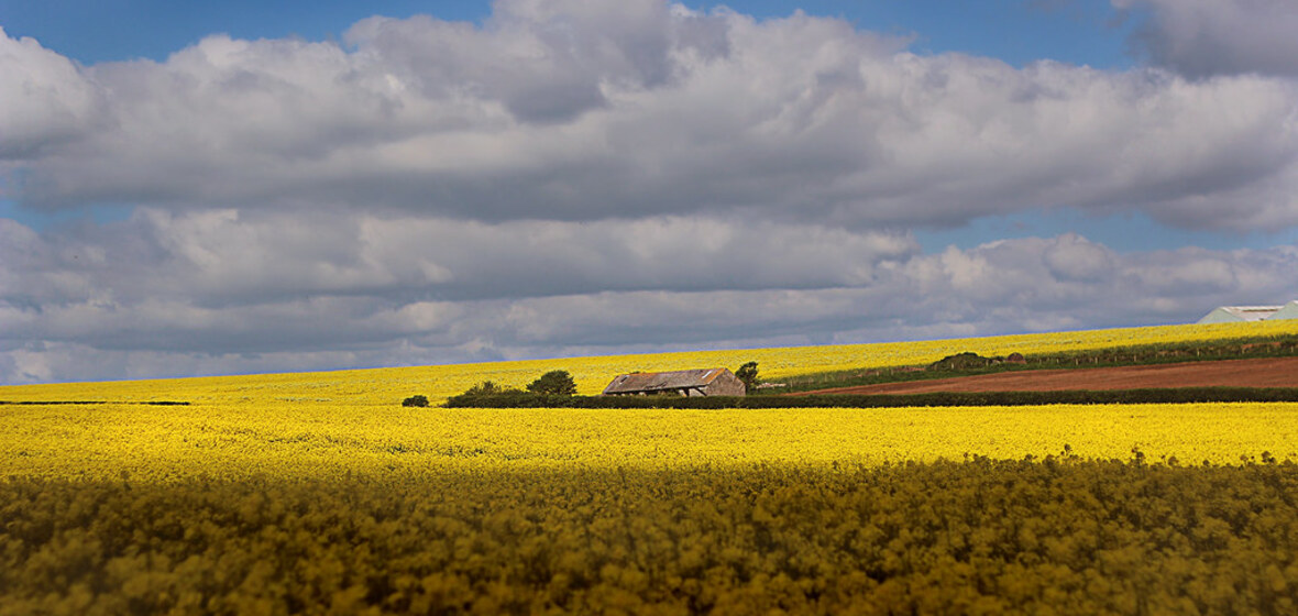Foto de Glamorgan