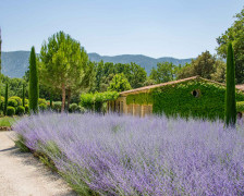 The 20 Best B&Bs in Provence