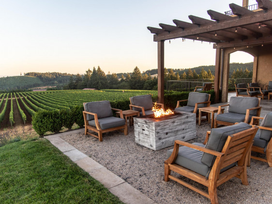 Black Walnut Inn and Vineyard