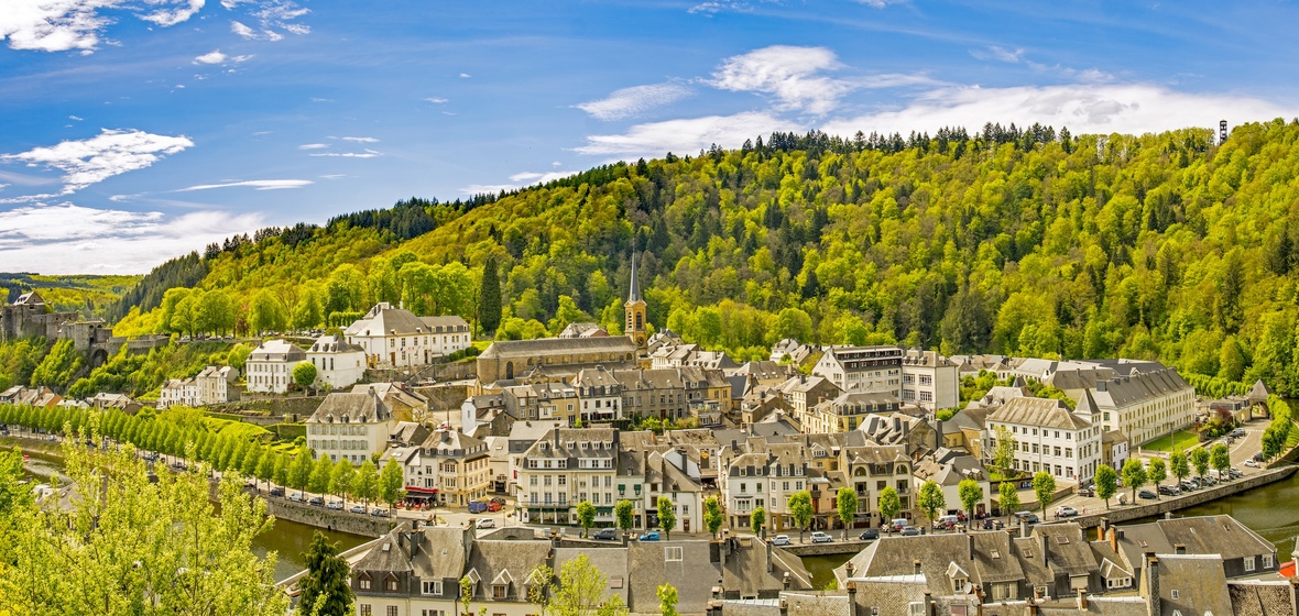 Photo of Bouillon