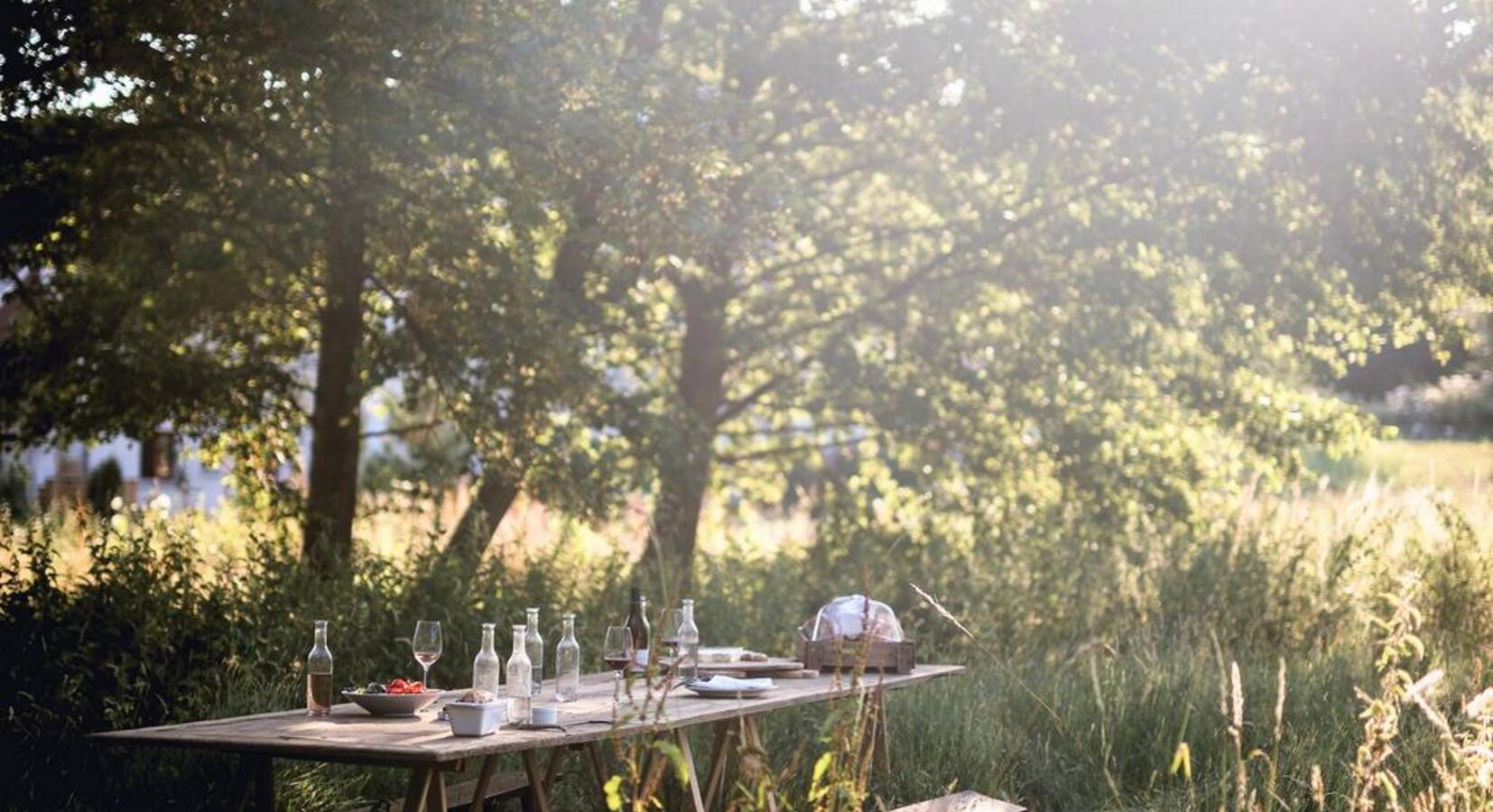 Outdoor Picnic