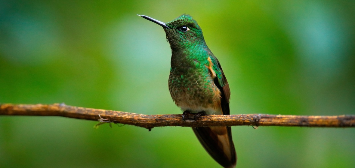Photo de Papallacta