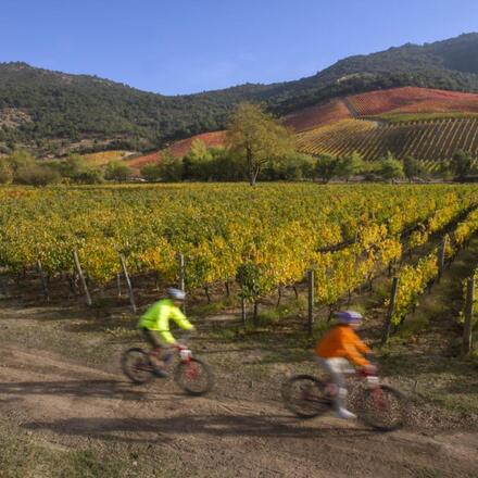 Les 8 meilleurs hôtels viticoles de la vallée de Colchagua