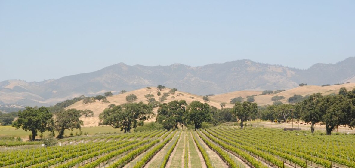 Photo of Paso Robles