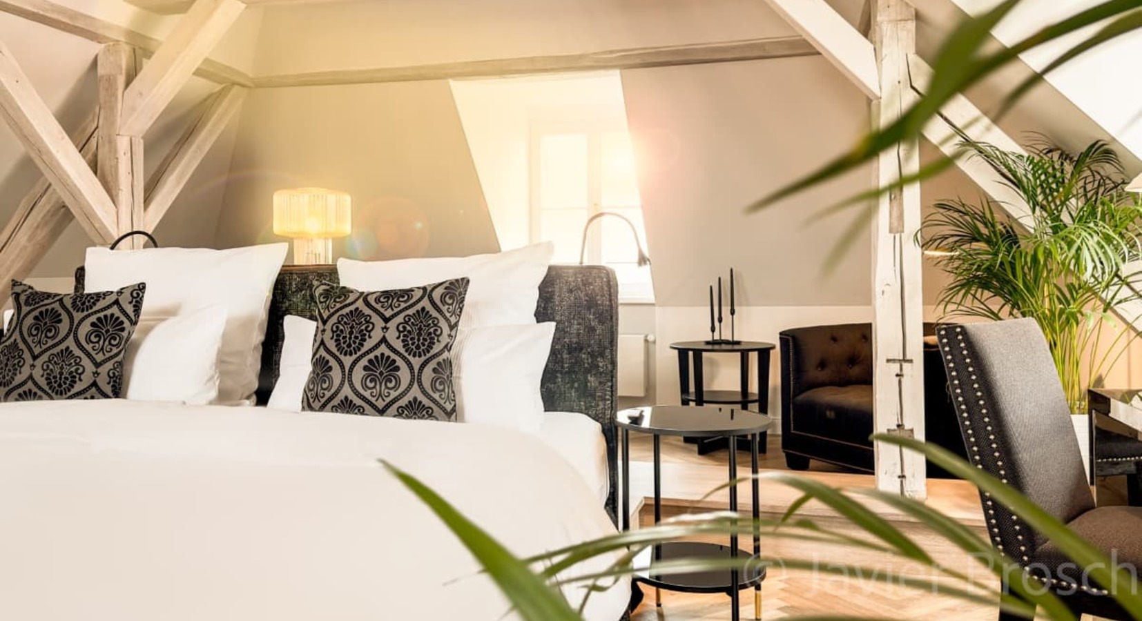 Guest Suite