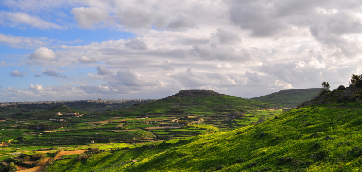 Photo of Zebbug