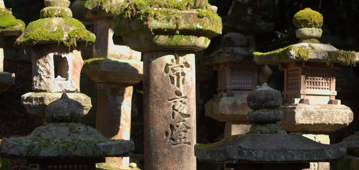 Best places to stay in Nara, Japan | The Hotel Guru