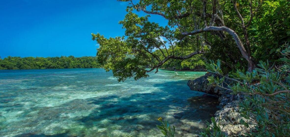 Photo of Port Antonio