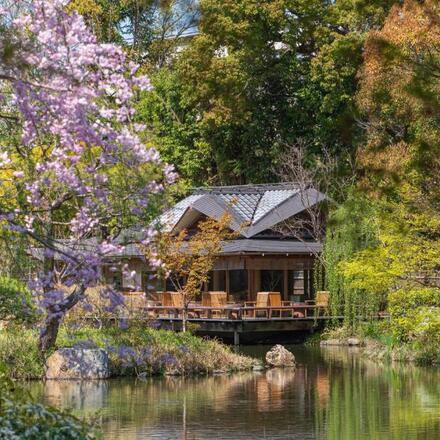 Top 12 Family Friendly Hotels in Kyoto