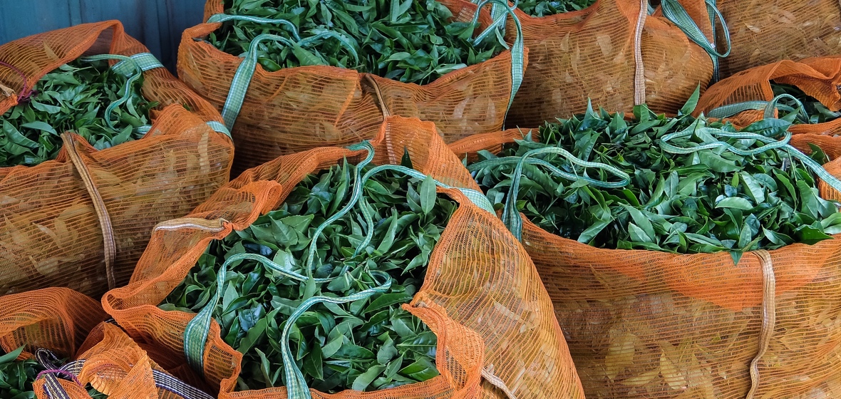 Foto von Coonoor