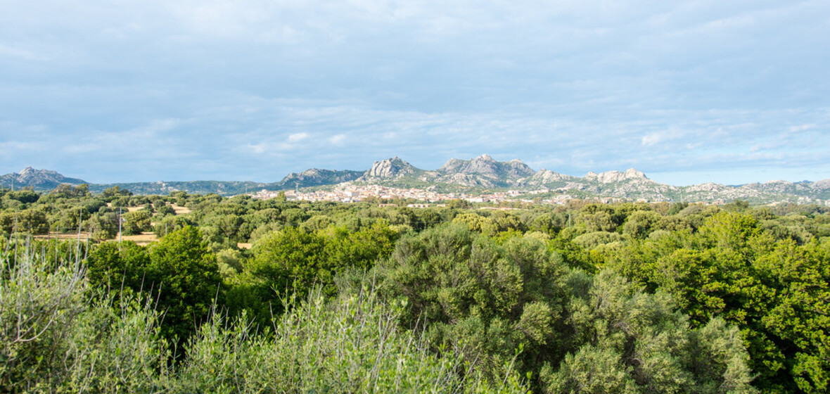 Foto von Arzachena