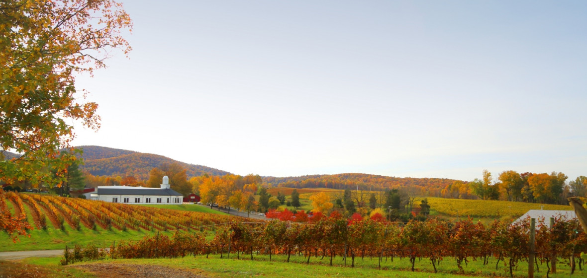 The 1804 Inn at Barboursville Vineyards, Virginia Review The Hotel Guru