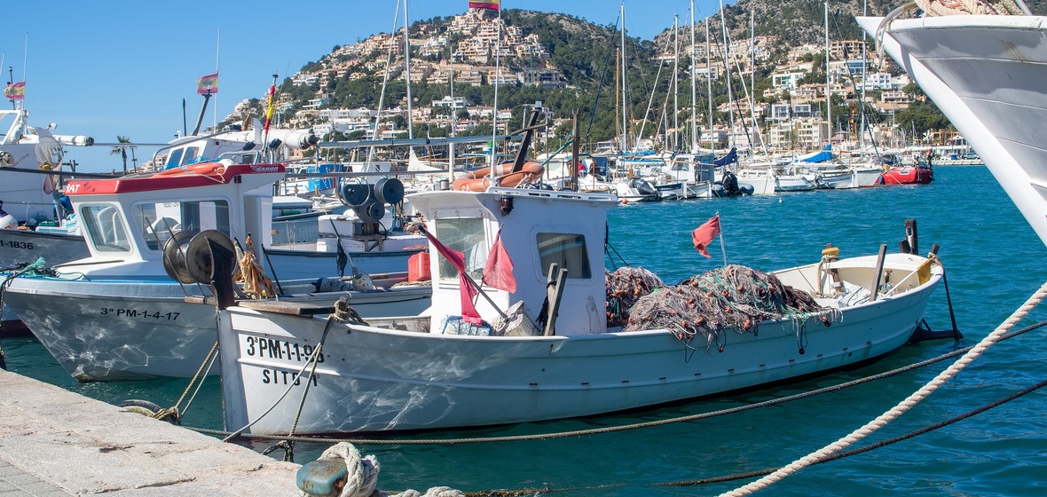 Photo de Port d'Andratx