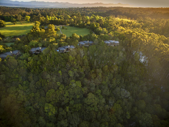 Tsala Treetop Lodges