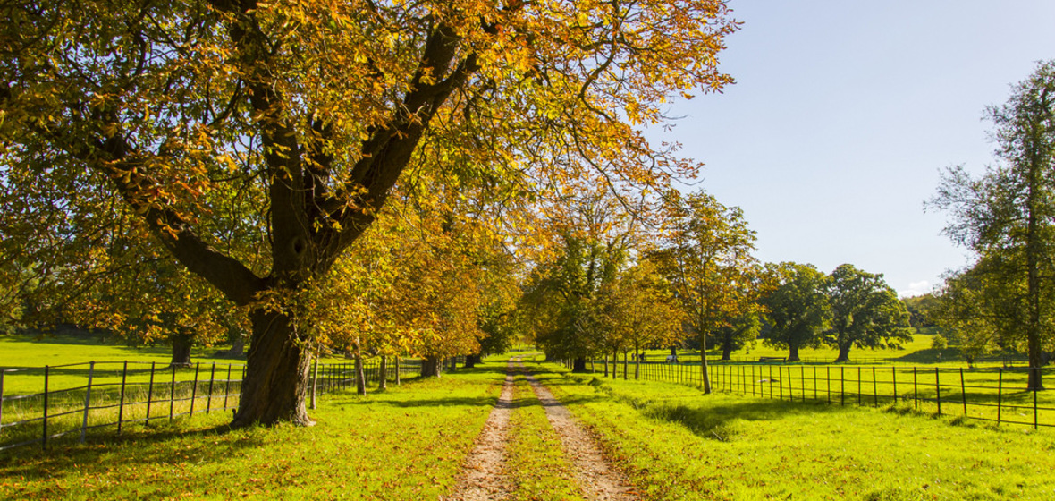 Photo de Brockenhurst