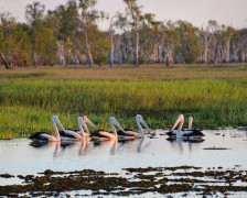 Les meilleurs hôtels pour le parc national de Kakadu, Territoire du Nord