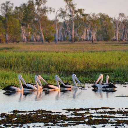 Les meilleurs hôtels pour le parc national de Kakadu, Territoire du Nord