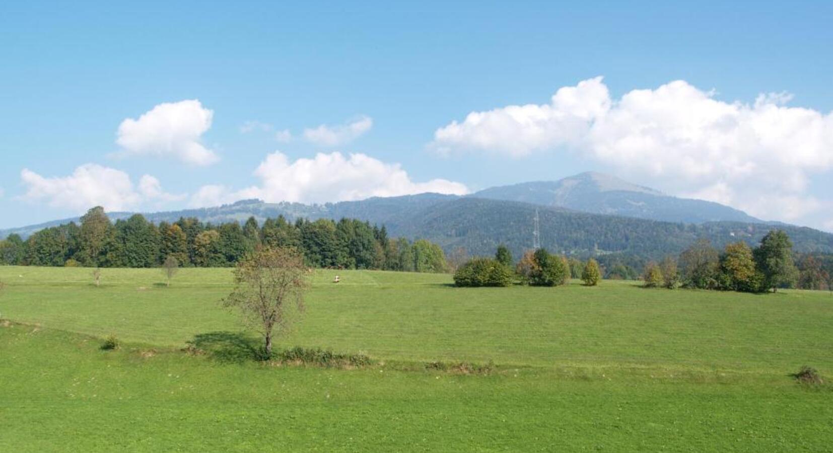 Surrounding area