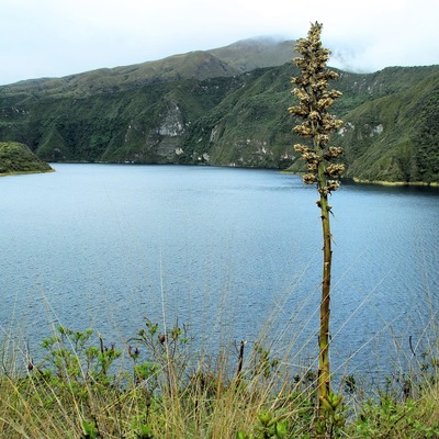Cotacachi, Ecuador