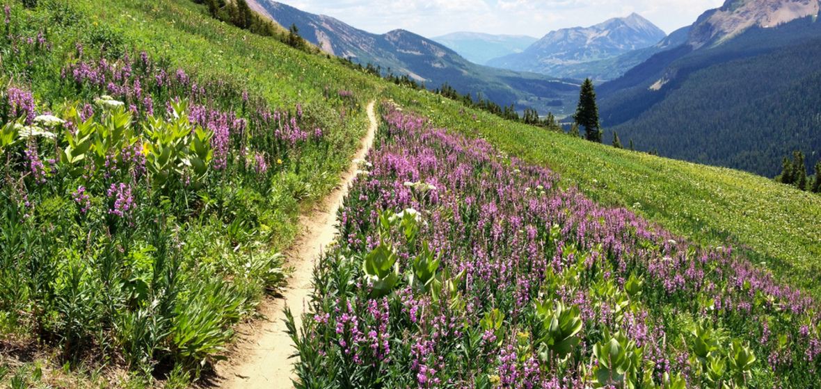 Foto von Crested Butte