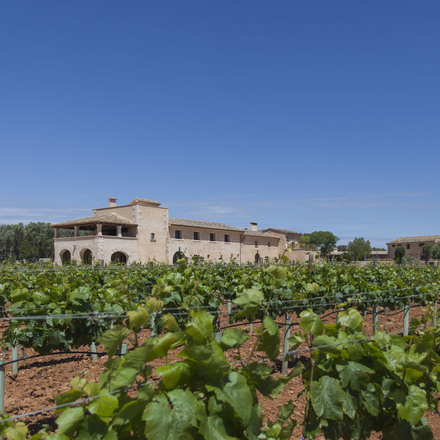 Finca Gomera