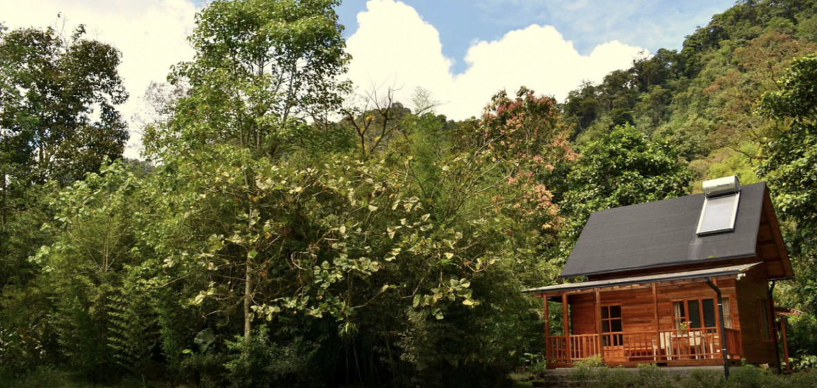 Sacha Lodge, Pichincha Province Review The Hotel Guru