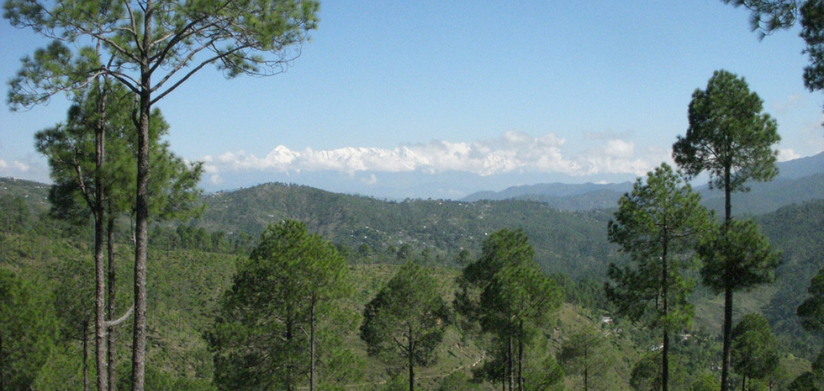 Best places to stay in Almora, India | The Hotel Guru