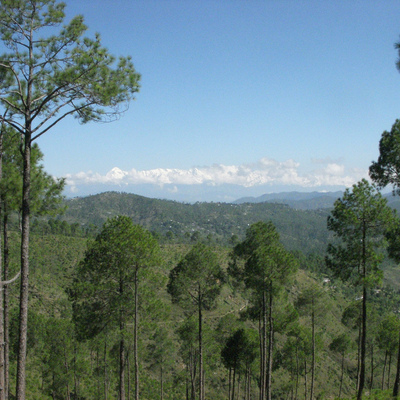 Almora, India