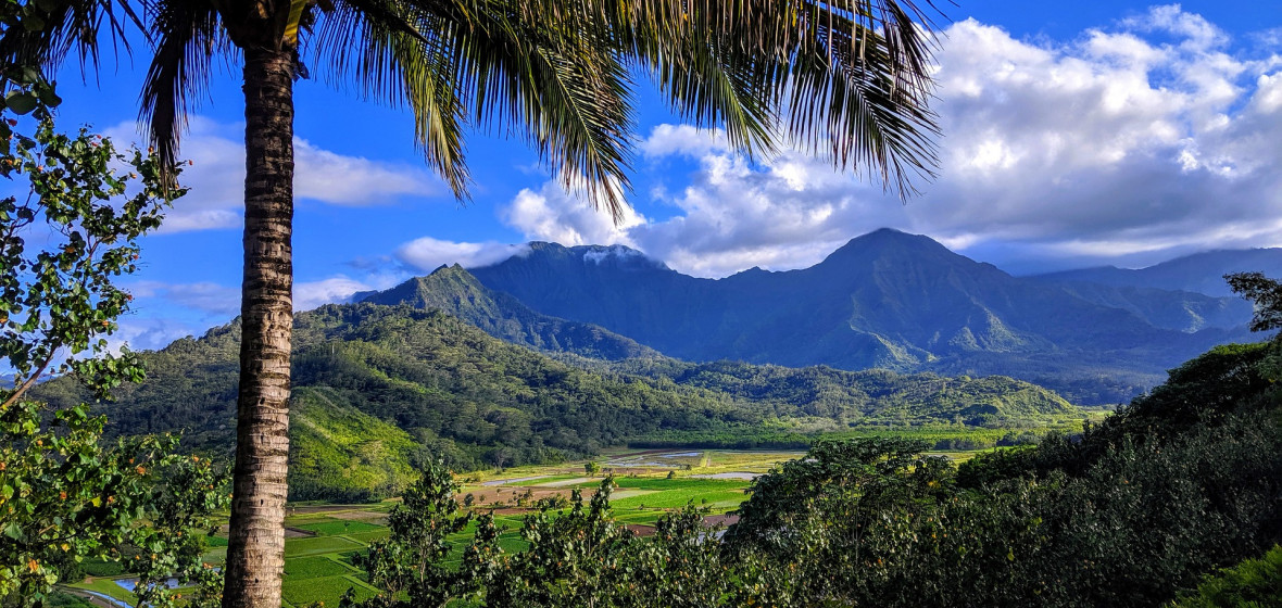 Best places to stay in Kauai, United States of America | The Hotel Guru