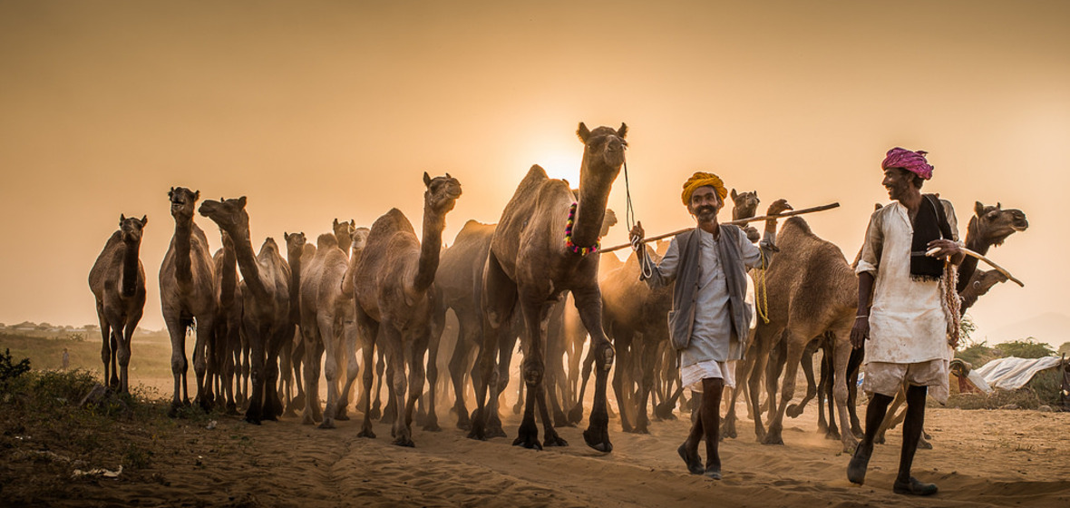Photo of Pushkar