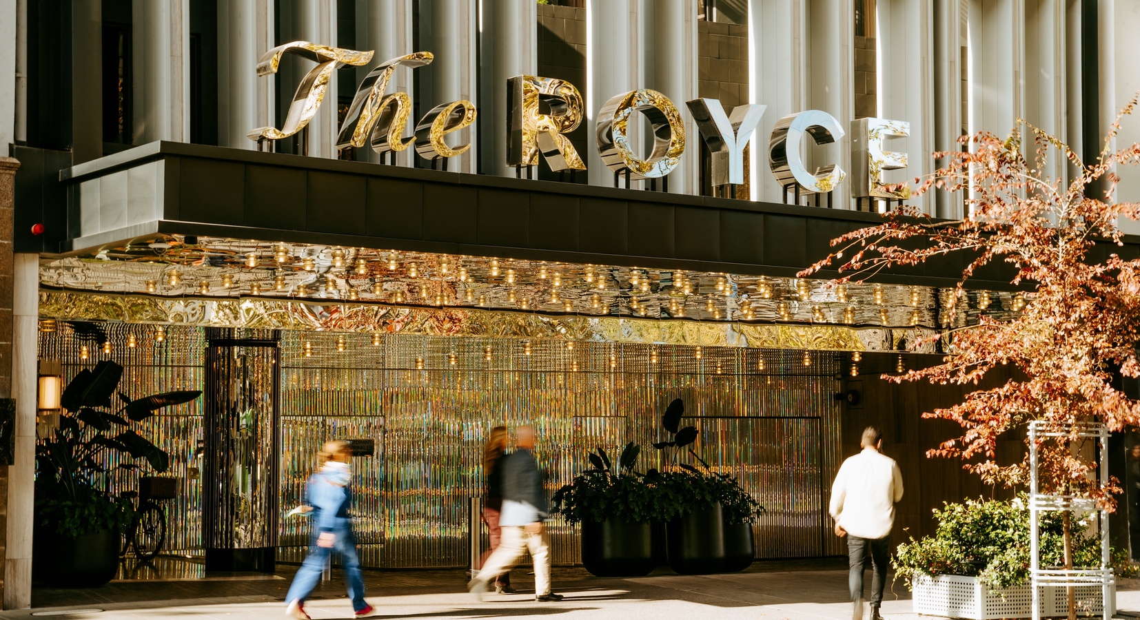 Photo of The Royce Hotel