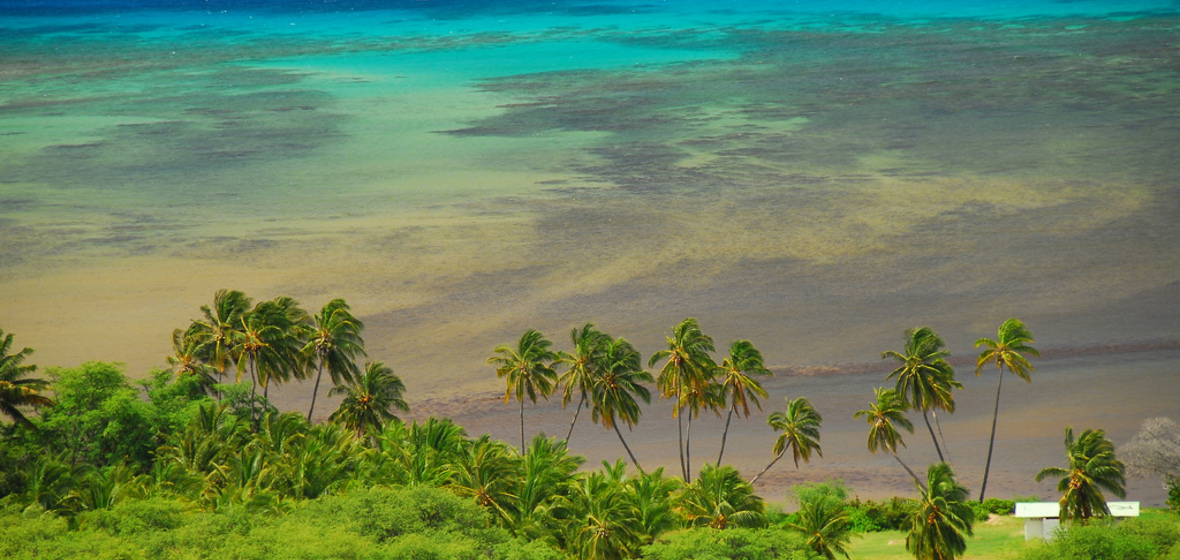 Photo of Maui