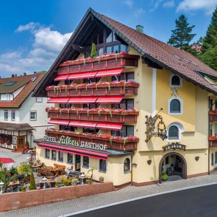 Hotel Restaurant Falken