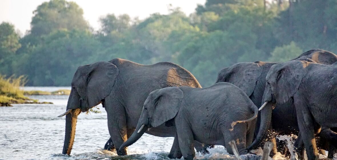 Photo of Victoria Falls