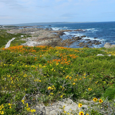 Paternoster, South Africa