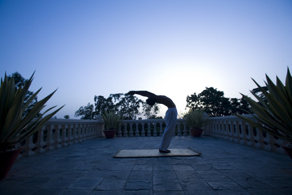 Ananda in the Himalayas