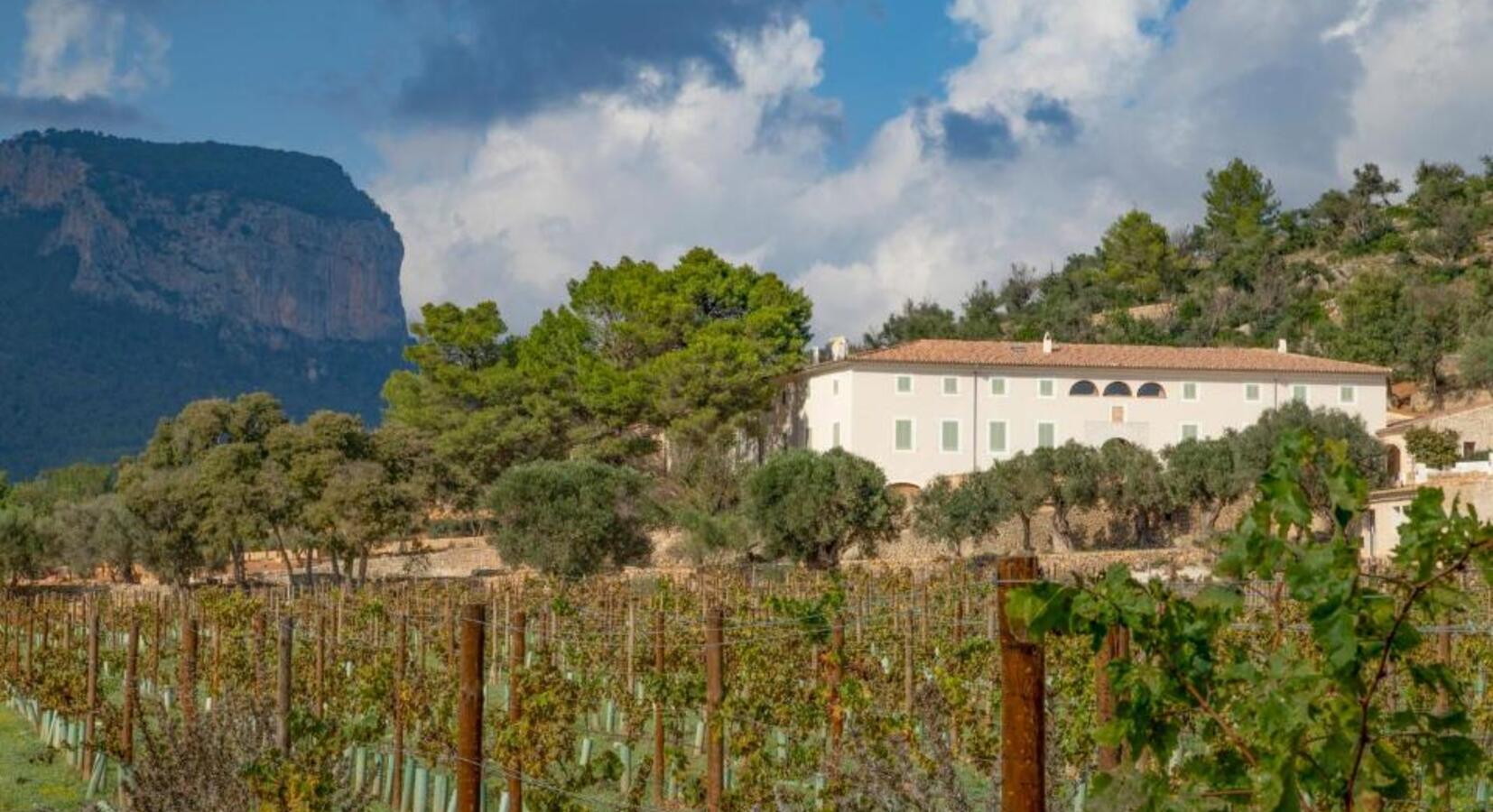 Foto von Finca Banyols