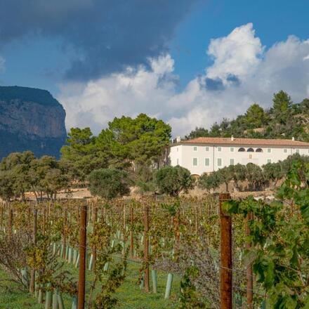 Finca Banyols