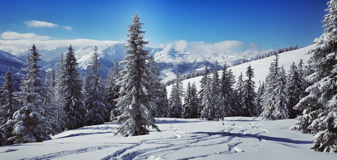Photo of Westendorf