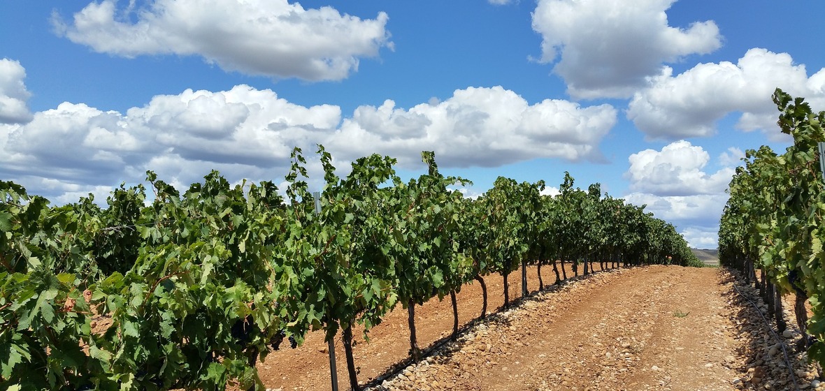 Photo of La Rioja