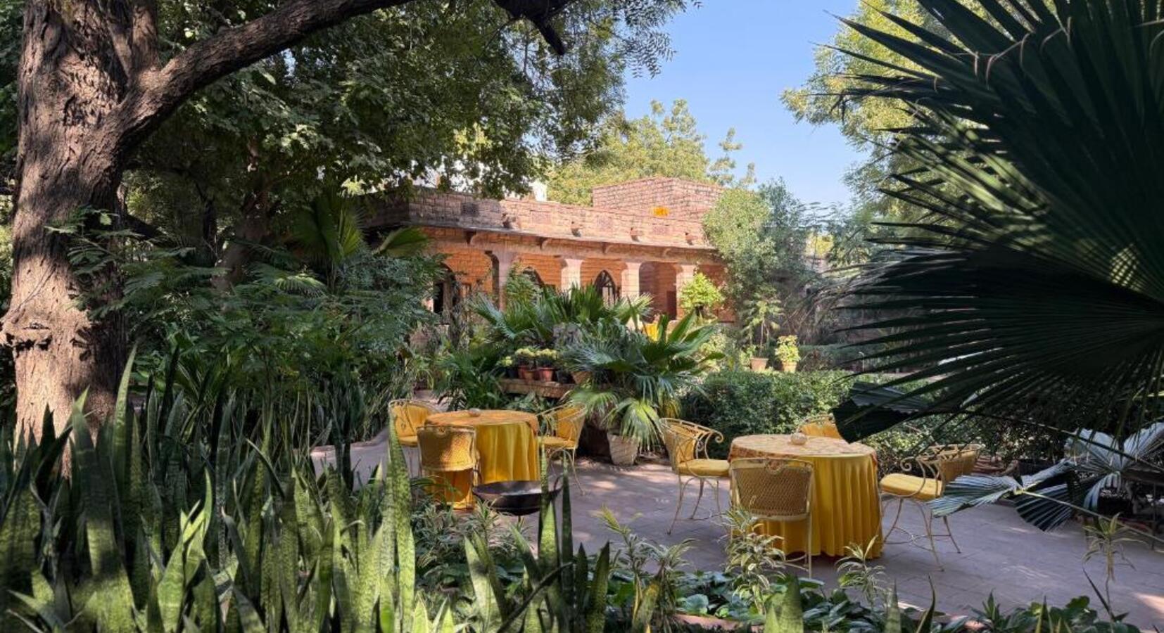 Dining in the Garden