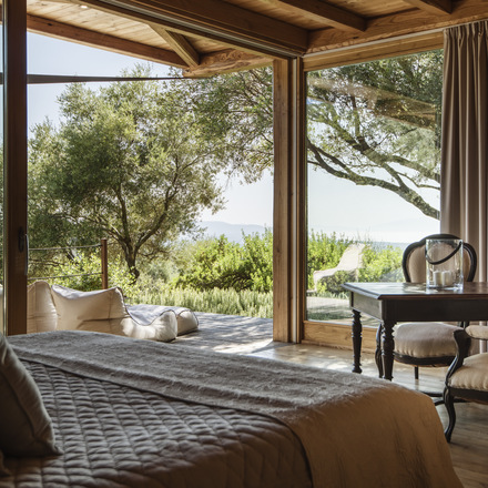 Guest Suite