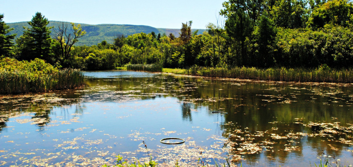 Best places to stay in Manchester Village, United States of America