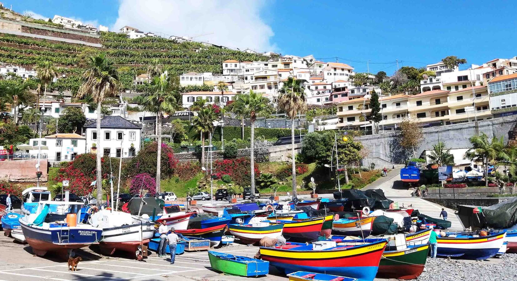 Harbour view