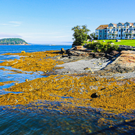 20 Best Hotels in Maine for Couples
